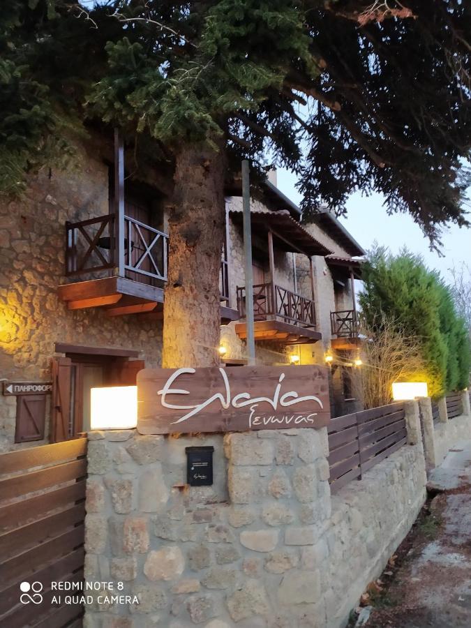 Guesthouse Elaia Synikia Mesi Trikalon 외부 사진