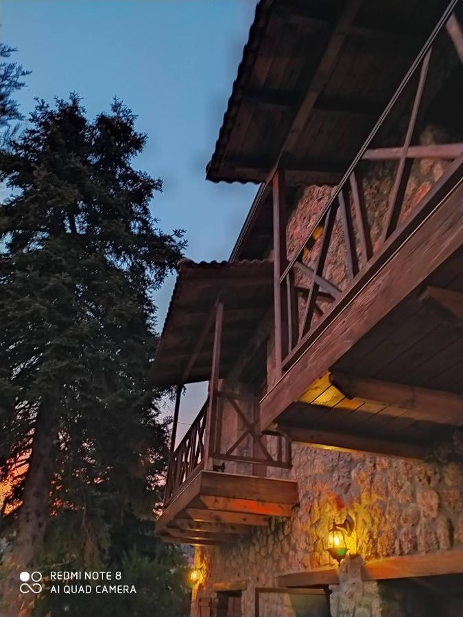 Guesthouse Elaia Synikia Mesi Trikalon 외부 사진