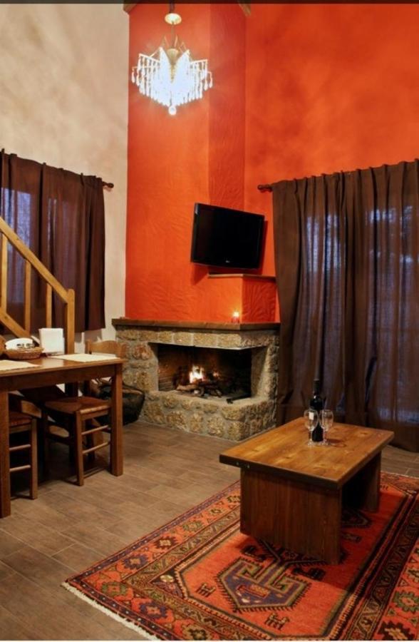 Guesthouse Elaia Synikia Mesi Trikalon 외부 사진