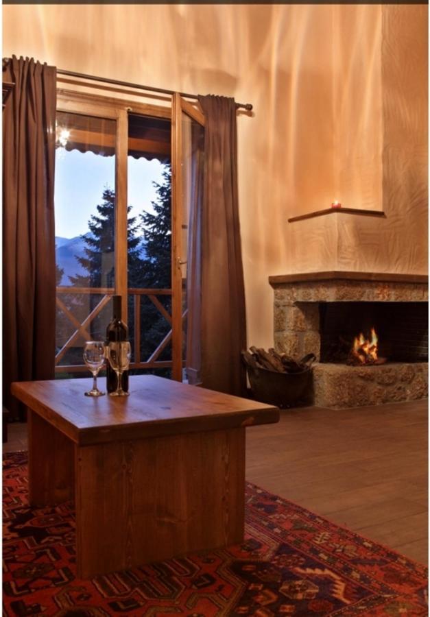 Guesthouse Elaia Synikia Mesi Trikalon 외부 사진