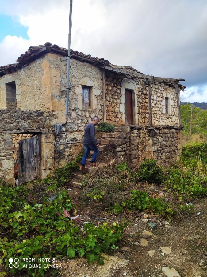 Guesthouse Elaia Synikia Mesi Trikalon 외부 사진