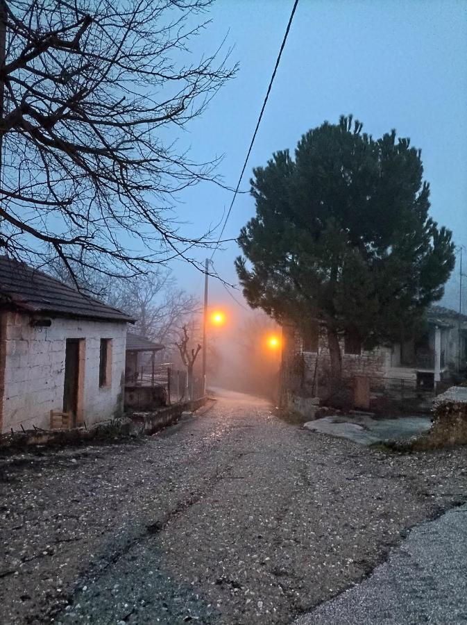 Guesthouse Elaia Synikia Mesi Trikalon 외부 사진