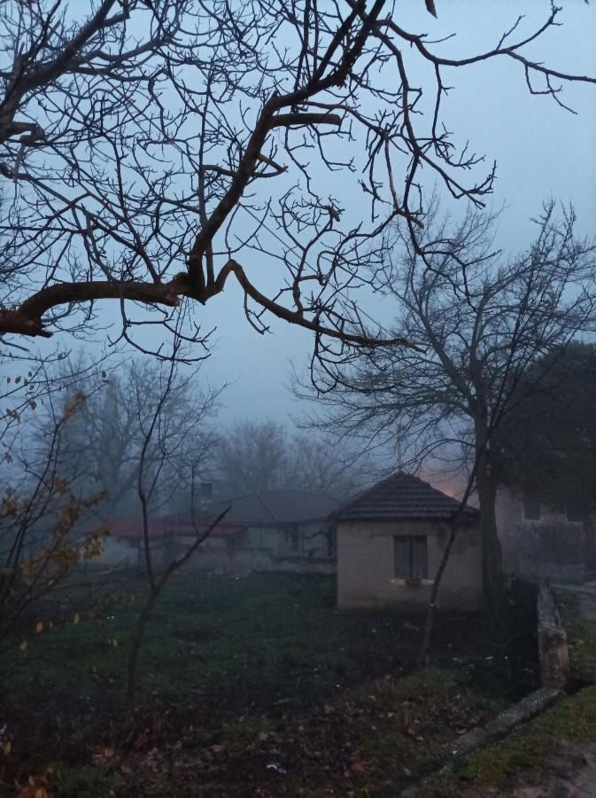 Guesthouse Elaia Synikia Mesi Trikalon 외부 사진