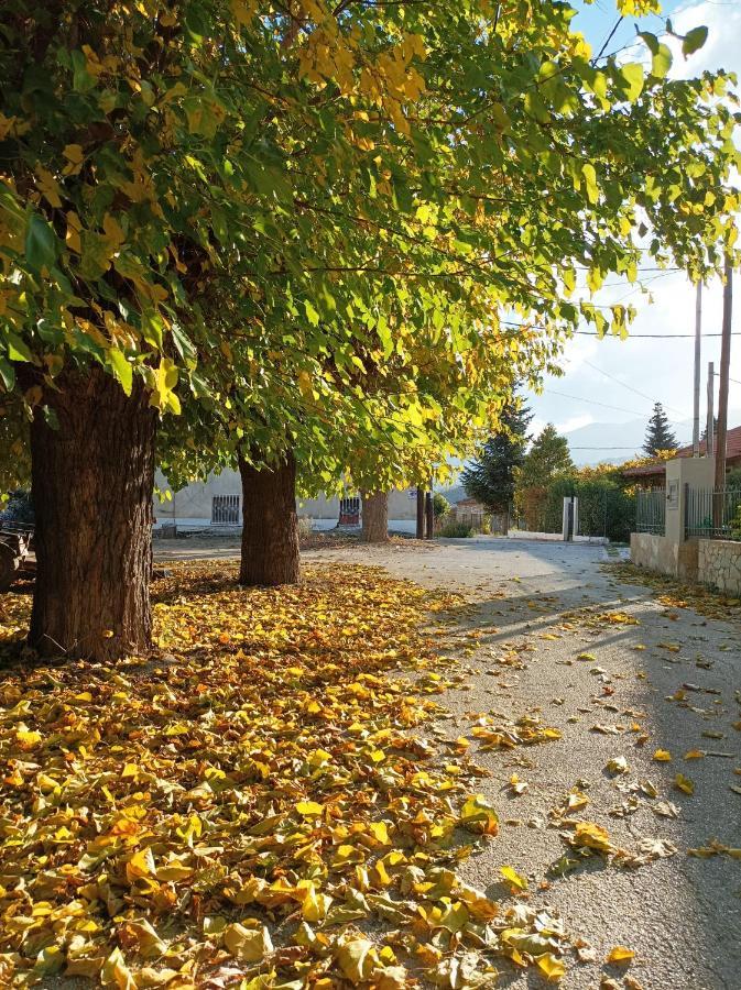 Guesthouse Elaia Synikia Mesi Trikalon 외부 사진