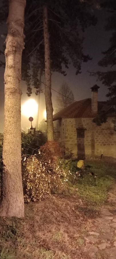 Guesthouse Elaia Synikia Mesi Trikalon 외부 사진