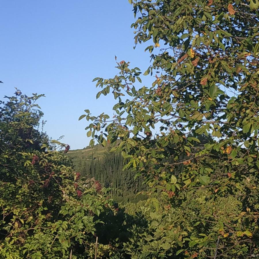 Guesthouse Elaia Synikia Mesi Trikalon 외부 사진